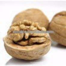 GMP standard Black Walnut Extract,Best price Black Walnut Extract powder